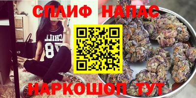 ПСИЛОЦИБИНОВЫЕ ГРИБЫ Аргун